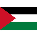 Bandeira Da Palestina 90x60cm Dupla Face Sublimado 2 Panos