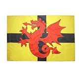 Bandeira Da Província De Trégor 2 X 3 Para Um Mastro Tregor Bandeiras Da Bretanha 60 X 90 Cm Faixa 2 X 3 Pés Com Furo Drapeau Bretagne Pays Du Trégor AZ FLAG