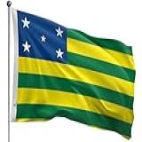 Bandeira De Goiás Estampada Uma Face 90x128cm