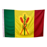 Bandeira De Petrolina 3p Oficial