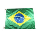 Bandeira Do Brasil 23x33cm 100