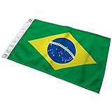 Bandeira Do Brasil Oficial 60 X