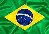 Bandeira Do Brasil Oficial Diversos Tamanhos E Tecidos Poliéster 1 50x0 90m 