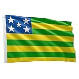 Bandeira Dos Estados Brasileiros Grande 1 50 X 0 90 M Goiás BDGO150