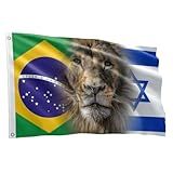 Bandeira Israel Brasil E Leão De