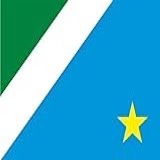 Bandeira Mato Grosso Do Sul Estampada