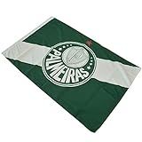Bandeira Palmeiras Símbolo Verde E Branca