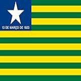 Bandeira Piauí Estampada Uma Face