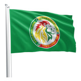 Bandeira Time Seleção Senegal 80cmx140cm Tecido