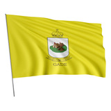 Bandeira Tribo De Israel Gade 1x1 45m Dupla Face