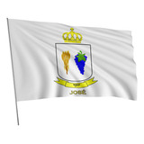 Bandeira Tribo De Israel José 1x1 45m