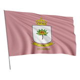 Bandeira Tribo De Israel Rúbem 1x1 45m