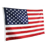 Bandeira Usa Oficial 1