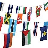 Bandeiras De 50 Países  Bandeira