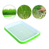 Bandeja Microverdes Germinação Broto Dupla Hidroponica Nf
