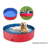 Banheira Piscina Dobravel Para Pets Cães Gato Pvc 120x30