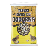 Banner Ovos De Codorna Impressão De