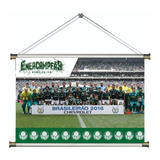 Banner Pôster Palmeiras Brasileiro 2016 Lona 60x40cm