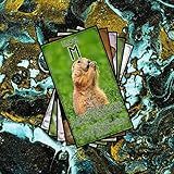 Baralho Runas Com Significados Tema De Animais Modelo 5 Oráculo Baralho Completo 25 Cartas Jogo De Cartas 