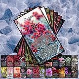 Baralho Runas Com Significados Tema De Flores Modelo 3 Oráculo Baralho Completo 25 Cartas Jogo De Cartas 