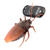 Barata Gigante Robo Controle Remoto Sem Fio Giant Roach F02