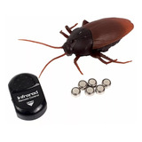 Barata Gigante Robô Controle Remoto Sem Fio Giant Roach
