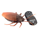 Barata Gigante Robô Controle Remoto Sem Fio