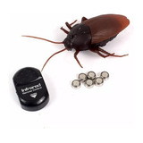 Barata Gigante Robô De Controle Remoto Sem Fio Giant Roach