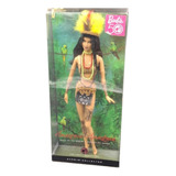 Barbie Amazonia Dolls World Brazil India Collector 2008