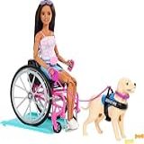 Barbie Boneca Articulada Com Cadeira De Rodas Cão De Serviço E Acessórios
