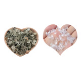 100pcs