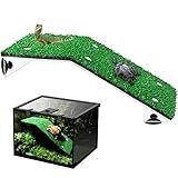 Basking Tartarugas Simulação Grass Ramp Tartoise Resting Terrace Descanso Suspensão Para água Doce Sapo Réptil
