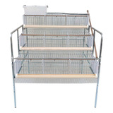 Bateria De 3 Gaiolas Para Codorna Suspensa Chocmaster Cor Cinza