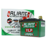 Bateria Lítio 14a Aliant Ylp14 Competição