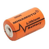 Bateria Pilha Lithium 3 6v 1 2aa Er14250 1200mah Kit 20 Un