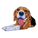 Beagle Imã Geladeira Pet Raças Decorat