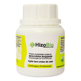 Hizobio