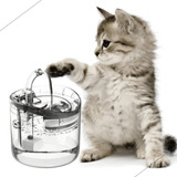 Bebedouro Água Elétrico Pet Gato Fonte