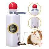 Bebedouro Automático 250ml Aço Inox Porquinho Da India