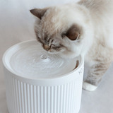 Bebedouro E Fonte De Água Automática Para Gatos Com Design Cor Branco