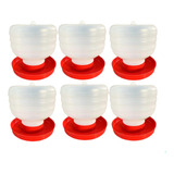 Bebedouro Franguinho Codorna Aves 1 Litro Kit 6 Unidades