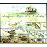 Bélgica Peixes Do Mar Do Norte 2006 S completa 1
