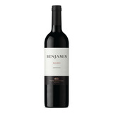 Benjamin Nieto Senetiner Malbec Vinho Argentino Tinto 750ml