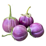 Sementes