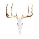 Berloques De Parede Grande Branco Crânio De Veado Falso 53 3 Cm Falso Taxiderme Cabeça Animal Decoração De Parede Decoração De Casa De Fazenda Feita à Mão White Gold Large