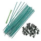 BESPORTBLE 1 Conjunto Varas De Suporte De Plantas Dominó Trem Mexicano Plantar Plantas De Casa Varas De Bambu Para Planta Jogo De Estacas De Plantas Uva Vara De Bambu Clipe De Orquídea Suíte