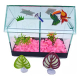 Peixes