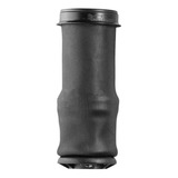 Bexiga Bolsa De Ar Cabine Scania S 4 G r 2004 2011