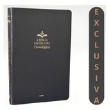 Estudos