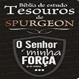 Bíblia De Estudo Temática Tesouros De Spurgeon ARC Capa 02